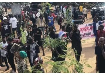 Benue Killings: ‘We Have Been Abandoned to Our Fate’ – Agonising Residents Recount Latest Ordeal