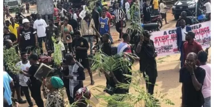 Benue Killings: ‘We Have Been Abandoned to Our Fate’ – Agonising Residents Recount Latest Ordeal