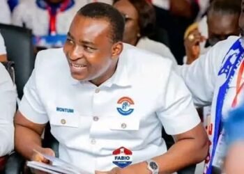 Ghana Court Sentences Opposition Party Regional Chairman to Prison Over Illegal Mini