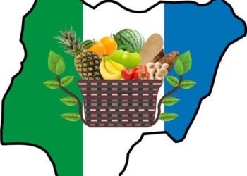 2027: NNPP Rules Out Automatic Presidential Ticket for Any Aspirant