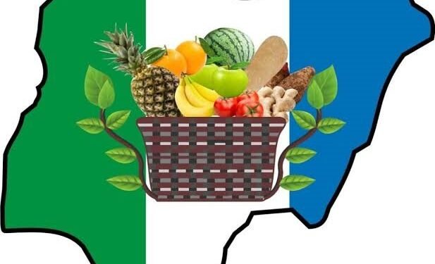 2027: NNPP Rules Out Automatic Presidential Ticket for Any Aspirant