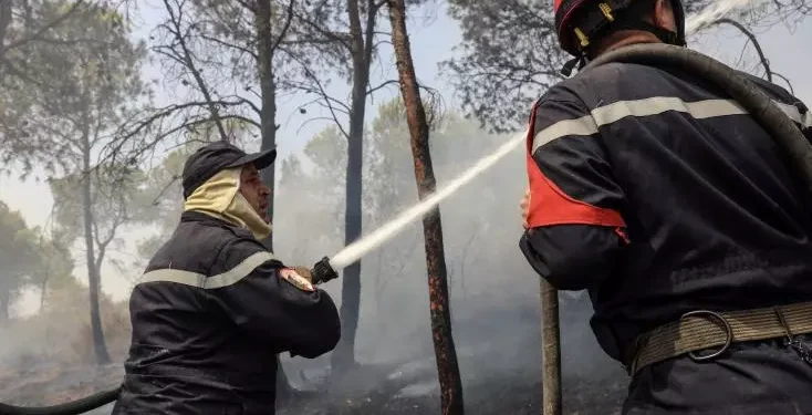 Six Killed as Wildfires Sweep Through Northern Algeria