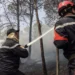 Six Killed as Wildfires Sweep Through Northern Algeria