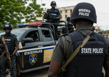 Southern, Middle Belt Leaders Back Governors’ Control of State Police