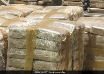Thousands of Kilograms of Illegal Drugs Seized Across Nigeria
