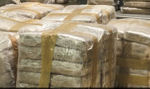 Thousands of Kilograms of Illegal Drugs Seized Across Nigeria