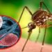 WHO Urges Vigilance as West Nile Virus Cases Rise Across Europe