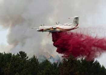 French Wildfire Rages Toward Bordeaux as Thousands Remain on Alert