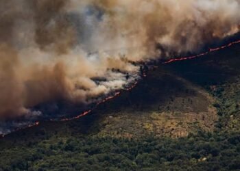 Wildfire Near Madrid Forces Over 10,000 Residents to Evacuate as Spain Battles Growing Fire Emergency