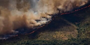 Wildfire Near Madrid Forces Over 10,000 Residents to Evacuate as Spain Battles Growing Fire Emergency