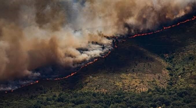 Wildfire Near Madrid Forces Over 10,000 Residents to Evacuate as Spain Battles Growing Fire Emergency