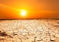Egypt’s Scorching Heatwave Disrupts Economy, Takes Toll on Workers