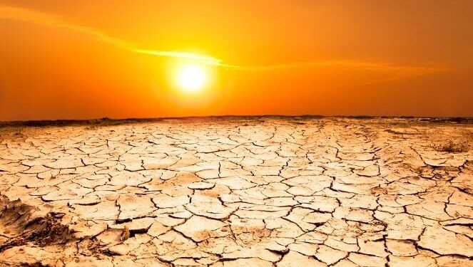 Egypt’s Scorching Heatwave Disrupts Economy, Takes Toll on Workers