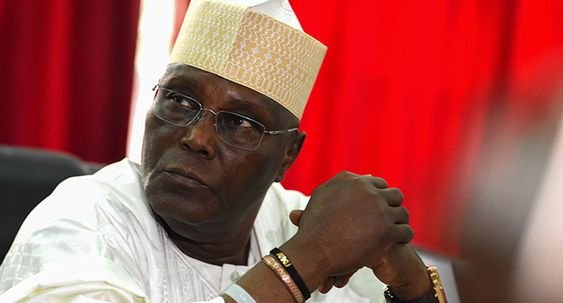 Atiku Raises Alarm Over Suspicious Credit Alert on Bank Account