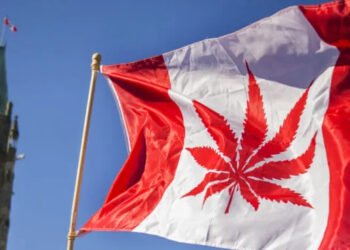 Canada Clarifies Citizenship Rules for People Born Abroad
