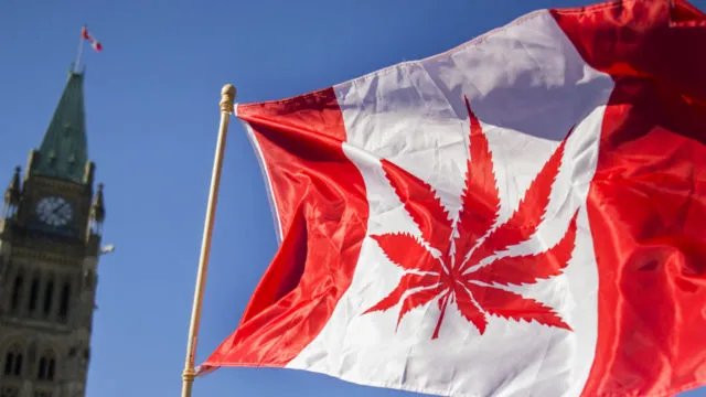 Canada Clarifies Citizenship Rules for People Born Abroad