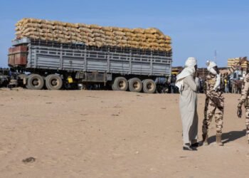 Chad Condemns Alleged Sudan Army Strike on Convoy Inside Its Territory #Chad #Sudan #SudaneseArmy #Africa #BreakingNews #SudanWar