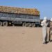 Chad Condemns Alleged Sudan Army Strike on Convoy Inside Its Territory #Chad #Sudan #SudaneseArmy #Africa #BreakingNews #SudanWar