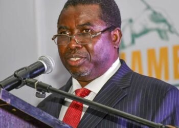 Chairman of the Independent National Electoral Commission (INEC), Professor Josiah Amupitan