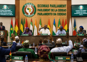 ECOWAS Parliament Urges Stronger MSME Support