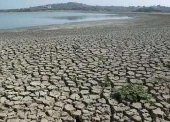 El Niño Deepens Sudan’s Water Crisis as Nile Levels Fall and Farms Dry Up