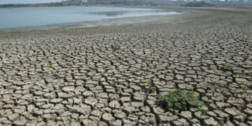 El Niño Deepens Sudan’s Water Crisis as Nile Levels Fall and Farms Dry Up