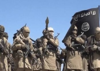 ISWAP Loses Five Bomb Experts in Borno