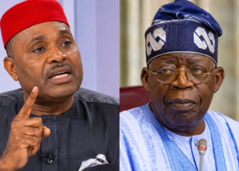 Kenneth Okonkwo: Tinubu Was Disqualified for Not Submitting School Certificates