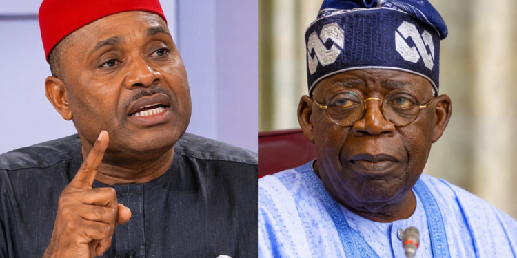 Kenneth Okonkwo: Tinubu Was Disqualified for Not Submitting School Certificates