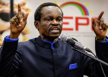 Stop Chasing Foreign Investors, Empower Africans – Lumumba