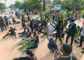 NKST Rejects Ranching Plan, Says 5,987 Members Killed in Attacks