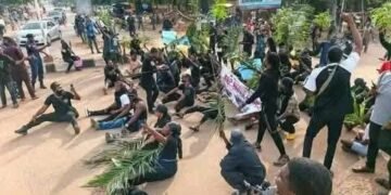 NKST Rejects Ranching Plan, Says 5,987 Members Killed in Attacks