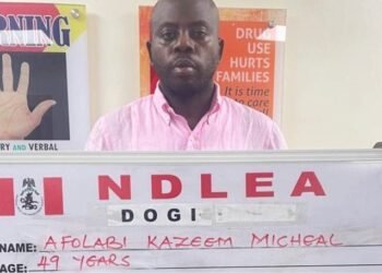 NDLEA Busts Alleged International Cocaine Network, Arrests Nigerian Influencer