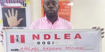 NDLEA Busts Alleged International Cocaine Network, Arrests Nigerian Influencer