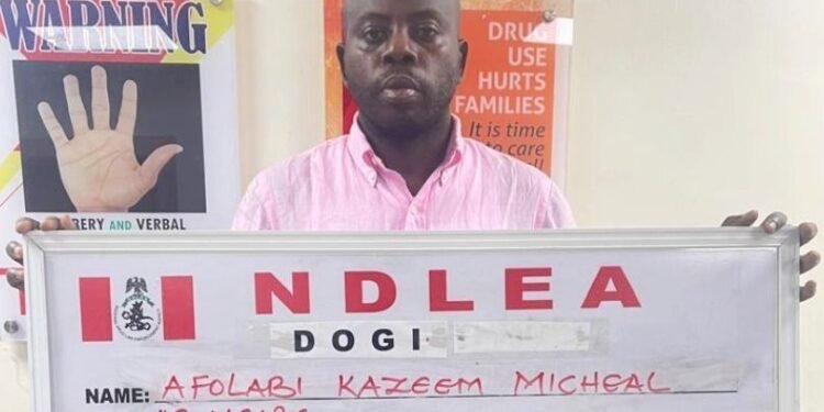 NDLEA Busts Alleged International Cocaine Network, Arrests Nigerian Influencer