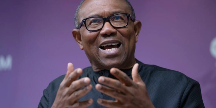 Peter Obi Warns Nigeria Is Facing a Democratic Crisis, Calls for Urgent Change