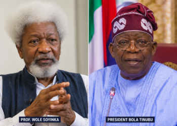 Soyinka Urges Tinubu to End Killings