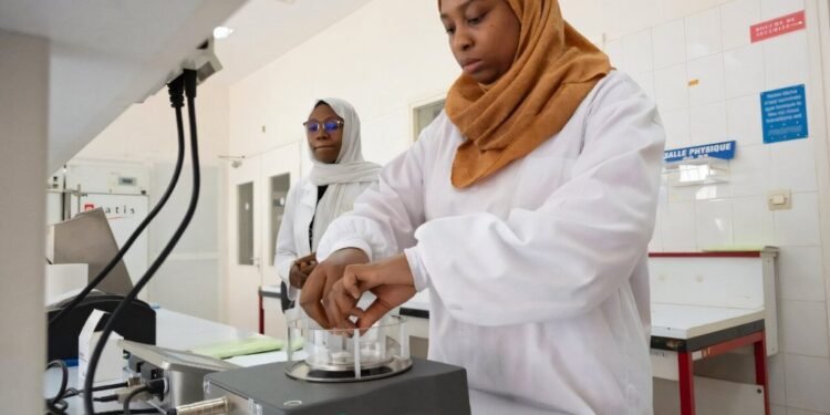 Senegal Begins Local Production of Sickle Cell Medicine in Major Pharmaceutical Push