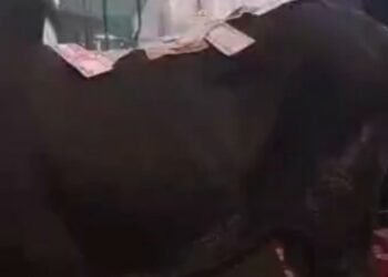 VIDEO: Viral Clip Sparks Reactions Over Alleged ‘Yahoo Boys’ Thanksgiving Service in Benin