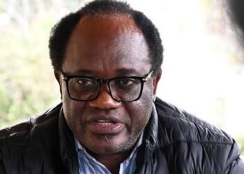 Zambian Opposition Leader Brian Mundubile Taken Into Custody Over Alleged Treason