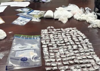 Two Nigerians Arrested in South Africa as Police Seize Suspected Drugs Worth N125m