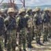 Mass Kidnap: Security Agencies Launch Major Operation to Rescue Niger Victims