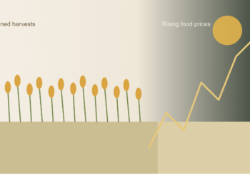 Food Production Challenges Continue to Fuel Nigeria’s Price Instability