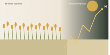 Food Production Challenges Continue to Fuel Nigeria’s Price Instability