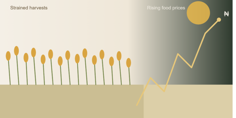 Food Production Challenges Continue to Fuel Nigeria’s Price Instability