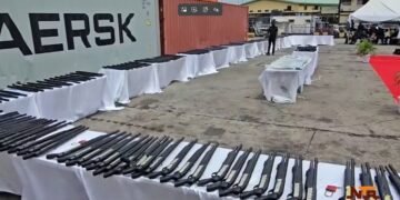 Customs Seizes 204 Pump-Action Rifles at Lagos Port