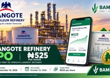 How International and African Investors Can Buy Dangote Petroleum Refinery IPO Through Bamboo