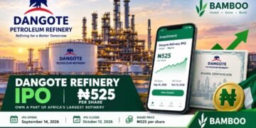 How International and African Investors Can Buy Dangote Petroleum Refinery IPO Through Bamboo