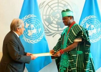 Nigeria Must Push for Stronger African Voice at UN, Says Dr. Jimoh Ibrahim