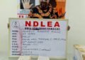 VIDEO: NDLEA Intercepts N6.2 Billion Worth of Drugs in Major Operations